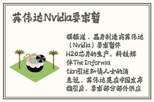 麻豆国情秘 网站入口
